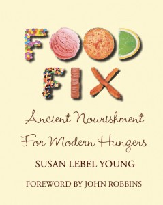 Food Fix- book cover